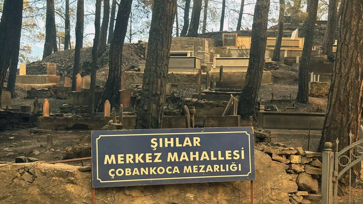 alanyada yangin kontrol altinda 9Di32x9S