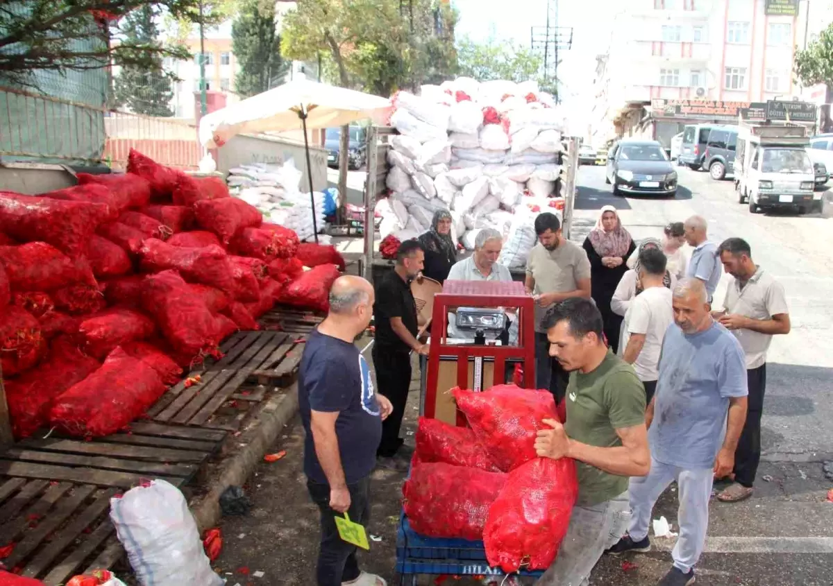 gaziantepte biber salcasi sezonu basladi wnnXnEbL