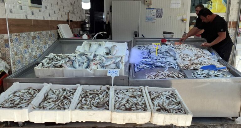 palamut yerine mezgit ve barbun var balik fiyatlarinda sert yukselis hrhkJbgi