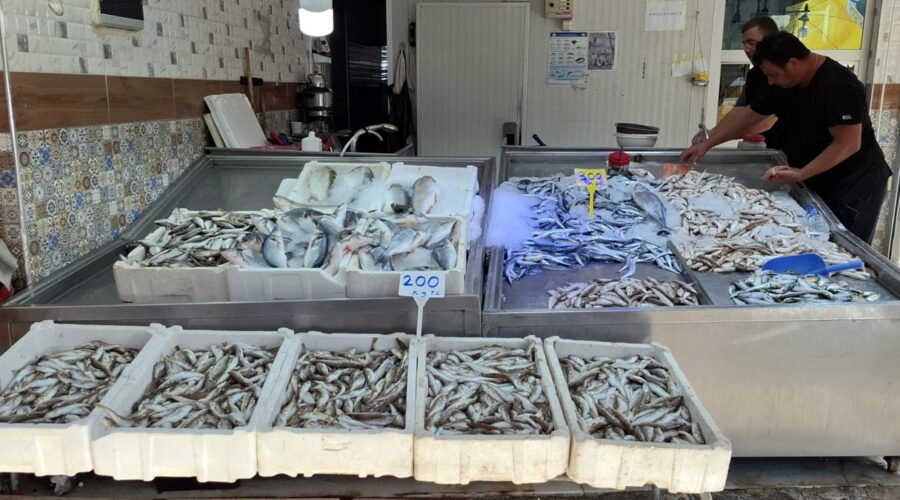 palamut yerine mezgit ve barbun var balik fiyatlarinda sert yukselis hrhkJbgi