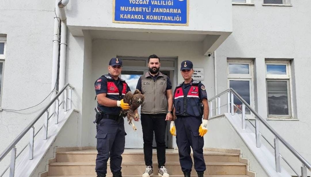 yozgatta yarali bulunan kartal koruma altina alindi jDdxthXr