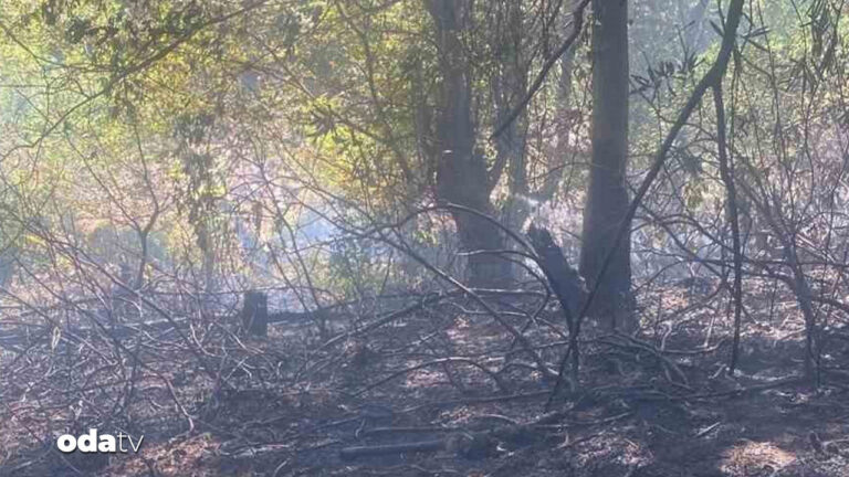 zonguldakta orman yangini DXnsOmNW