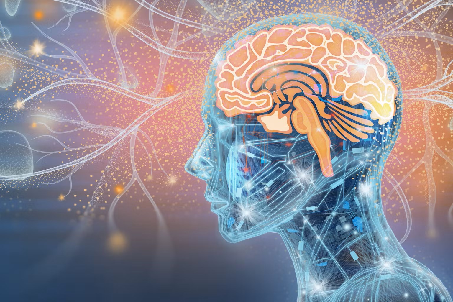 evreni fethetmenin anahtari insan bilincini dijitallestirmek fjSyJbcy