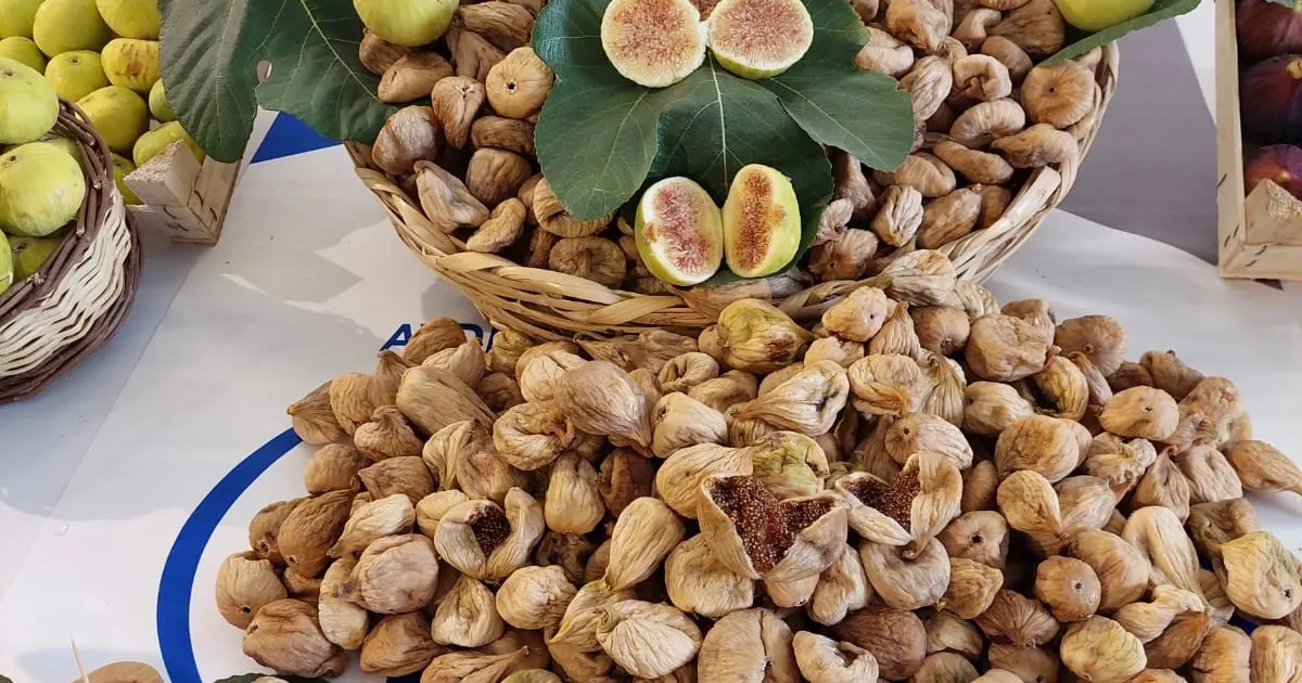 kuru incir ihracatinda tarihi rekor UqDhdz6b.webp