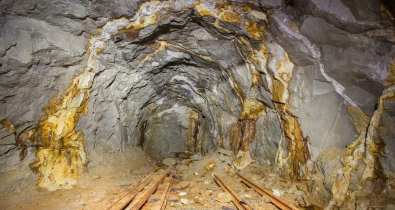 o ilimizin basina talih kusu kondu bugun milyarlarca liralik altin rezervi kesfedildi 83T9Dp3Z.jpg