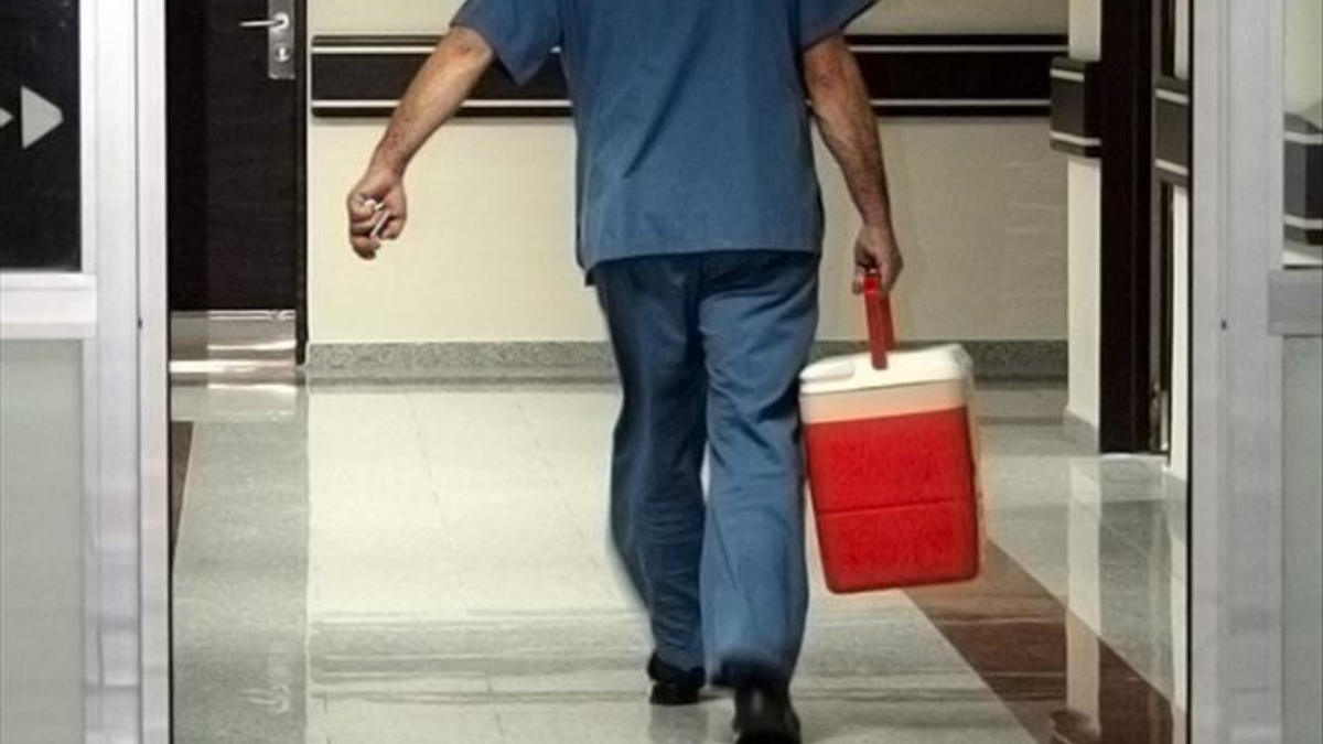 turkiyede 33 bine yakin hasta organ nakli bekliyor Zd2xIXgC.jpg