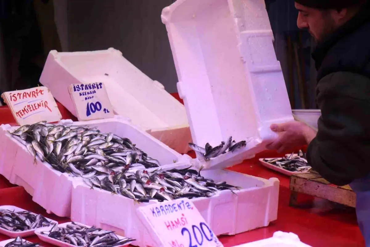 Hamsi Yok, İstavrit Var