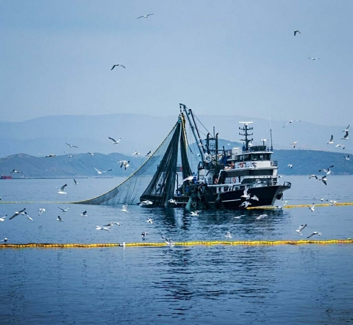 15 Nisan’da Av Yasağı Başlıyor: Sürdürülebilir Balıkçılık İçin Önemli Adım