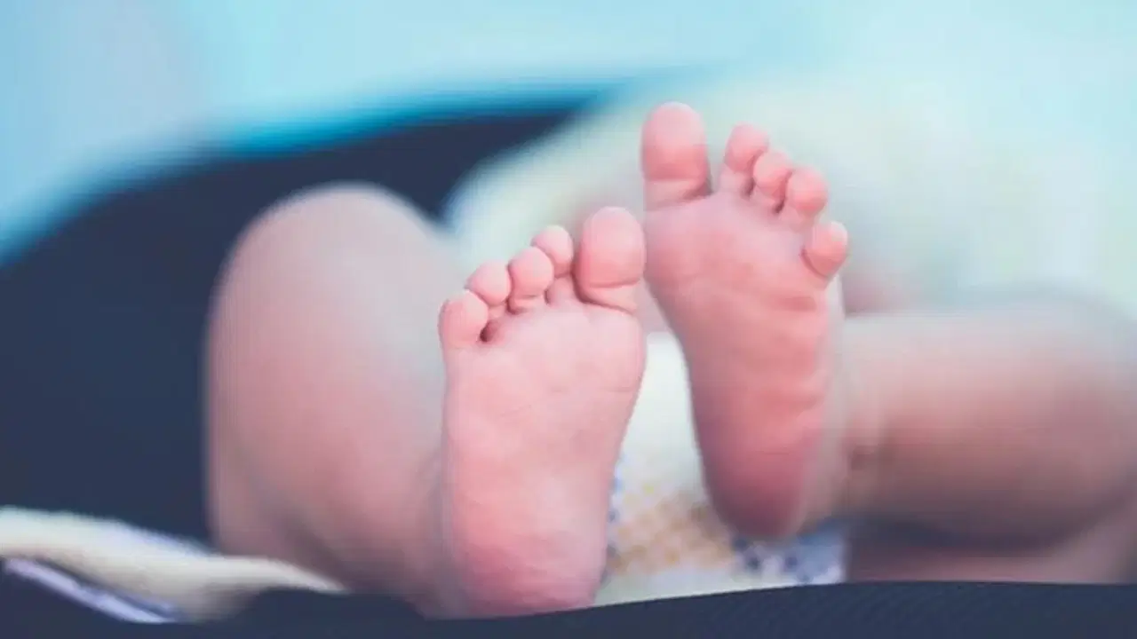 Bebeğini Çöp Konteynerine Bırakan Anne, 19 Yıl Sonra Mahkemeye Çıktı