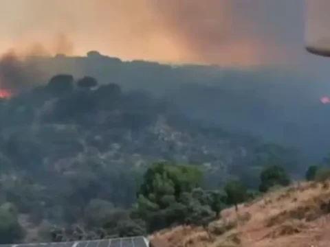 Haber gorseli