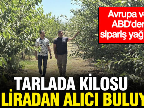 Tarlada kilosu 60 liradan alici buluyor avrupa ve abdden siparis yagiyor CpA7XRCd